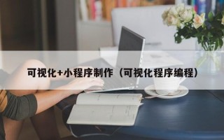 莱芜可视化+小程序制作（可视化程序编程）